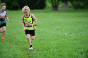TIM_3558