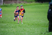 TIM_3612