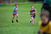 TIM_3618