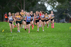 Victorian Cross Country Championships 2026 U11 Girls