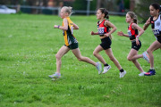 TIM_2574