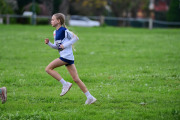 TIM_2582