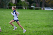 TIM_2585