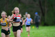 TIM_2661