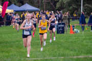 Victorian-Cross-Country-Championships-2024_8736
