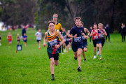 Victorian-Cross-Country-Championships-2024_8878