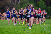 Victorian-Cross-Country-Championships-2024_9045
