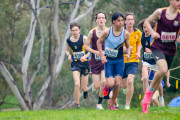 Victorian-Cross-Country-Championships-2024_9344