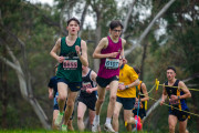 Victorian-Cross-Country-Championships-2024_9354