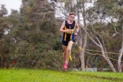Victorian-Cross-Country-Championships-2024_9612