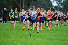 Victorian Cross Country Championships 2026 - 3km