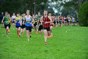 TIM_1824