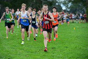 TIM_1832