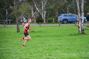 TIM_2002