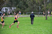 TIM_2009