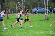 TIM_2015