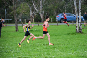 TIM_2019
