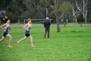 TIM_2025