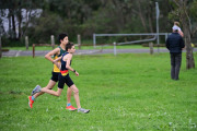 TIM_2036