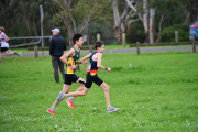 TIM_2041