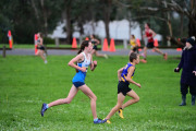 TIM_2075