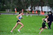 TIM_2079