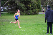 TIM_2097