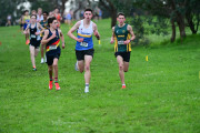 TIM_2153