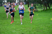 TIM_2156