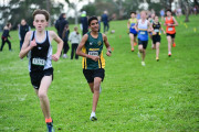 TIM_2181