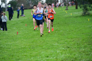 TIM_2184