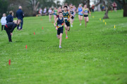 TIM_2214