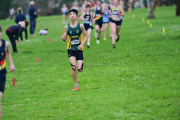 TIM_2227