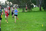 TIM_2301