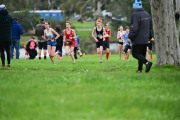TIM_2453