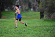 TIM_2521