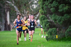 TIM_0605