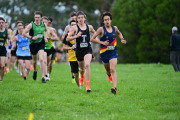 TIM_0398