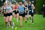 TIM_0464