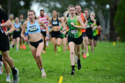 TIM_0478