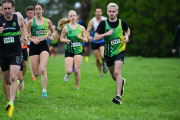 TIM_0498
