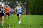 TIM_0533