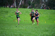 TIM_0872