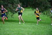 TIM_0889