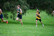 TIM_0891