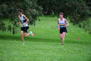 TIM_0895