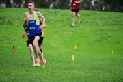 TIM_0935