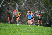 TIM_0950