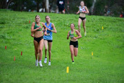 TIM_0959