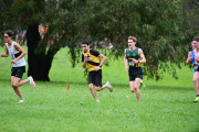 TIM_1311